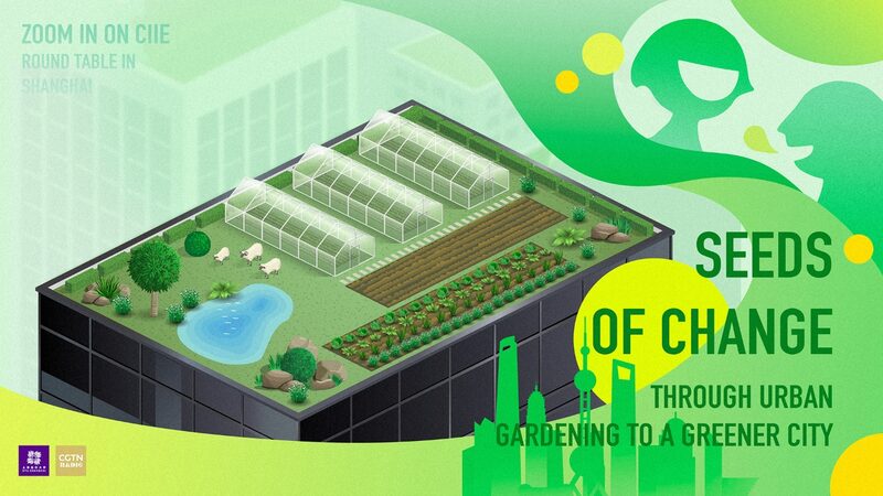 Shanghai’s Rooftop Farms: Cultivating Green Creativity in the City Shanghai_s_Rooftop_Farms__Cultivating_Green_Creativity_in_the_City video poster