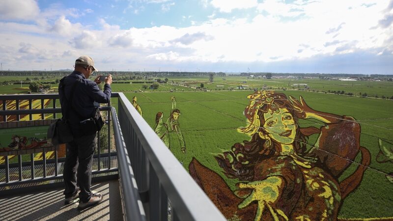 Shenyang_Farmers_Transform_Rice_Fields_into_Living_Artworks
