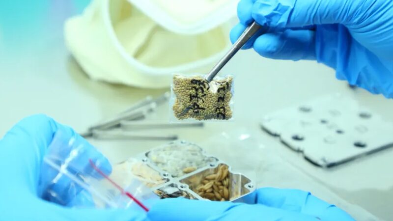 Shenzhou_17_Astronauts_Return_with_31_5kg_of_Groundbreaking_Science_Samples