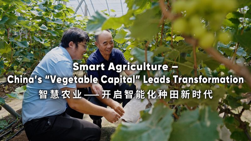 Shouguang__Pioneering_Smart_Agriculture_in_China_s__Vegetable_Capital_ video poster