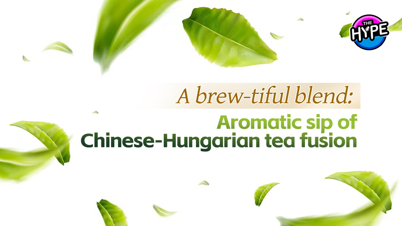 Sipping Harmony: Exploring Chinese-Hungarian Tea Fusion on The Hype Sipping_Harmony__Exploring_Chinese_Hungarian_Tea_Fusion_on_The_Hype video poster