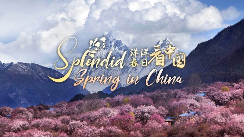 Splendid_Spring_in_Xizang__Nature_s_Beauty_Draws_Tourists_Outdoors_poster - My Global News: Voices of a New Era Splendid_Spring_in_Xizang__Nature_s_Beauty_Draws_Tourists_Outdoors video poster