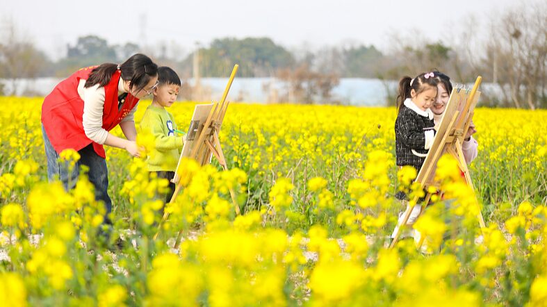Spring_Awakens__Rapeseed_Fields_in_the_Chinese_Mainland_Bloom_Vibrantly
