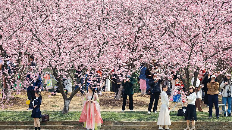 Spring_Splendor_Unfolds_at_Nanjing_s_Historic_Botanical_Garden