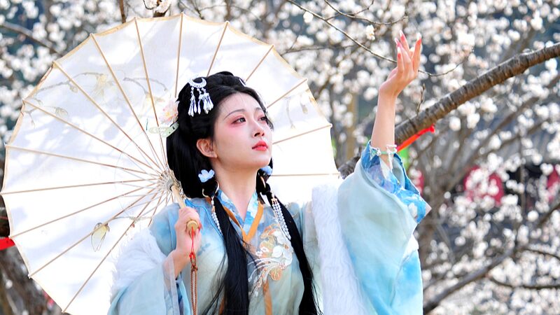 Spring_s_Cherry_Blossom_Corridor_Blooms_in_Yichang