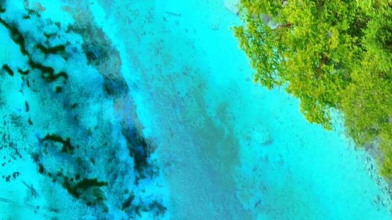 Step_into_the_Vibrant_Wonderland_of_Jiuzhaigou__An_Unforgettable_Experience_poster - My Global News: Voices of a New Era Step_into_the_Vibrant_Wonderland_of_Jiuzhaigou__An_Unforgettable_Experience video poster