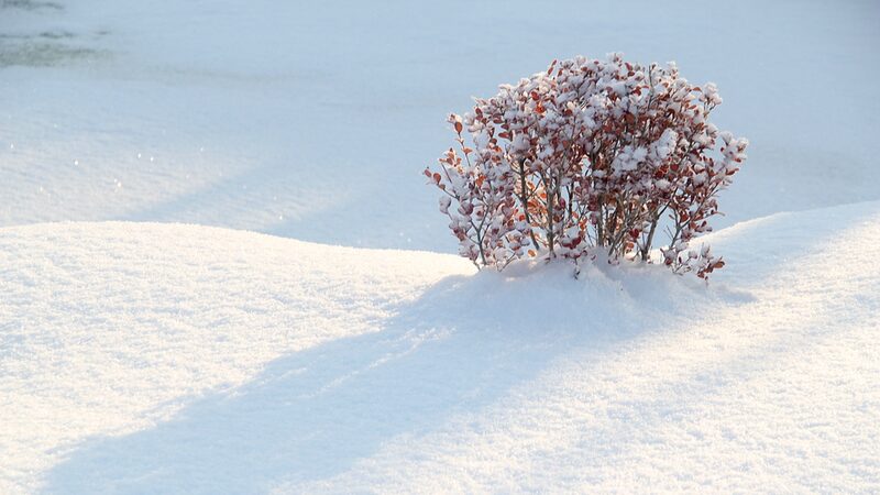 Study__Climate_Change_Reduces_Extreme_Cold_Events_Globally - My Global News: Voices of a New Era Study__Climate_Change_Reduces_Extreme_Cold_Events_Globally