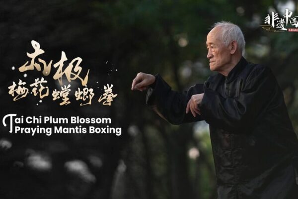 Sun_Delong__80_Year_Journey_of_Dedication_to_Tai_Chi_Plum_Blossom_Praying_Mantis_Boxing video poster