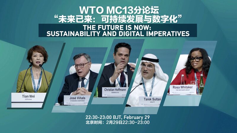 Sustainability___Digital_Innovations_Highlighted_at_WTO_s_13th_Business_Forum video poster