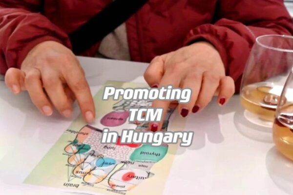 TCM Tango: Chinese Students Enhance Cultural Ties in Budapest TCM_Tango__Chinese_Students_Enhance_Cultural_Ties_in_Budapest video poster