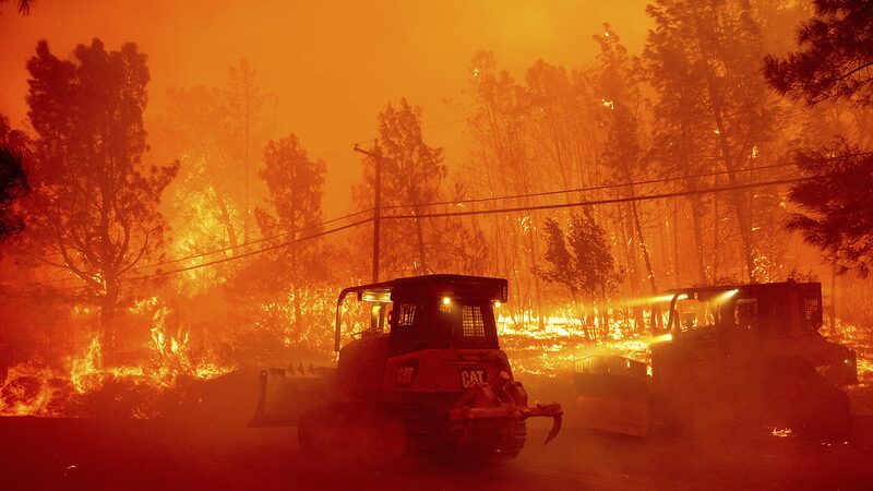 Thousands_Evacuate_as_Park_Fire_Engulfs_Northern_California_Amid_Heatwave - My Global News: Voices of a New Era Thousands_Evacuate_as_Park_Fire_Engulfs_Northern_California_Amid_Heatwave