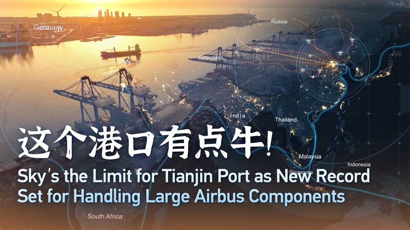 Tianjin Port Achieves Zero-Defect Milestone in Global Logistics Tianjin_Port_Achieves_Zero_Defect_Milestone_in_Global_Logistics video poster