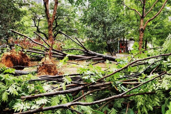 Typhoon_Gaemi_Impacts_Over_628_000_in_China_s_Fujian_Province