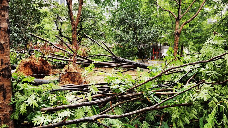 Typhoon_Gaemi_Impacts_Over_628_000_in_China_s_Fujian_Province - My Global News: Voices of a New Era Typhoon_Gaemi_Impacts_Over_628_000_in_China_s_Fujian_Province