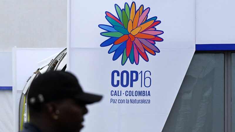 UN Chief Urges Major Funding to Protect Global Biodiversity UN_Chief_Urges_Major_Funding_to_Protect_Global_Biodiversity
