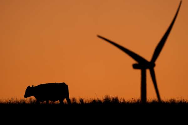 UN Report Urges Immediate Global Action to Curb Worsening Climate Crisis UN_Report_Urges_Immediate_Global_Action_to_Curb_Worsening_Climate_Crisis