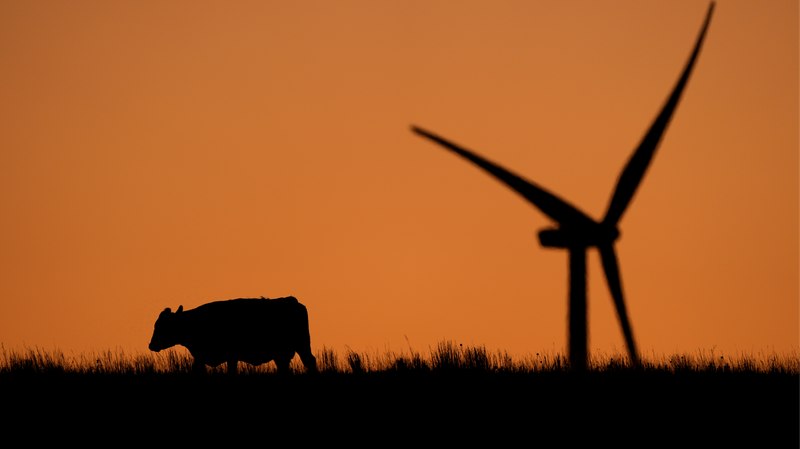UN_Report_Urges_Immediate_Global_Action_to_Curb_Worsening_Climate_Crisis
