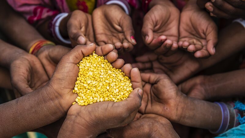UN Reports 733 Million People Face Hunger in 2023, Up 152 Million Since 2019 UN_Reports_733_Million_People_Face_Hunger_in_2023__Up_152_Million_Since_2019