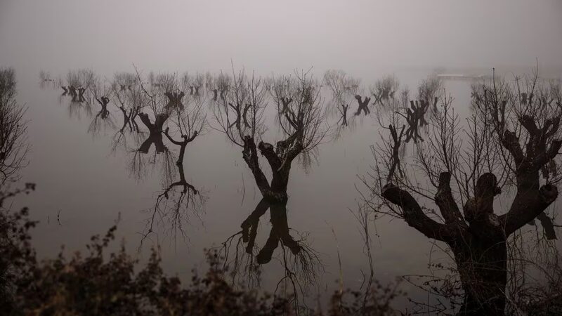 Unprecedented_Floods_Submerge_Greece_s_Thriving_Thessaly_Farms - My Global News: Voices of a New Era Unprecedented_Floods_Submerge_Greece_s_Thriving_Thessaly_Farms