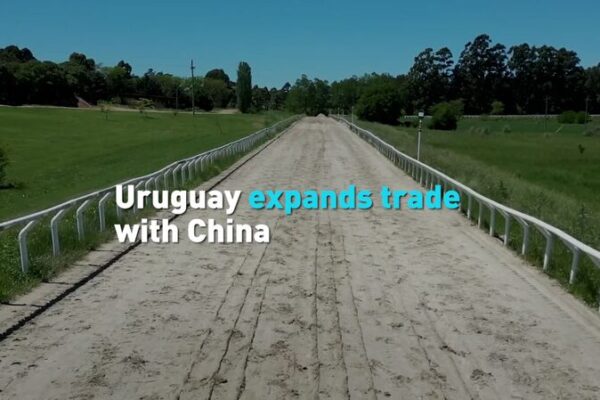 Uruguay_Strengthens_Trade_with_the_Chinese_Mainland_Ahead_of_Elections video poster