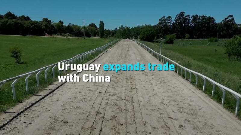 Uruguay_Strengthens_Trade_with_the_Chinese_Mainland_Ahead_of_Elections_poster - My Global News: Voices of a New Era Uruguay_Strengthens_Trade_with_the_Chinese_Mainland_Ahead_of_Elections video poster