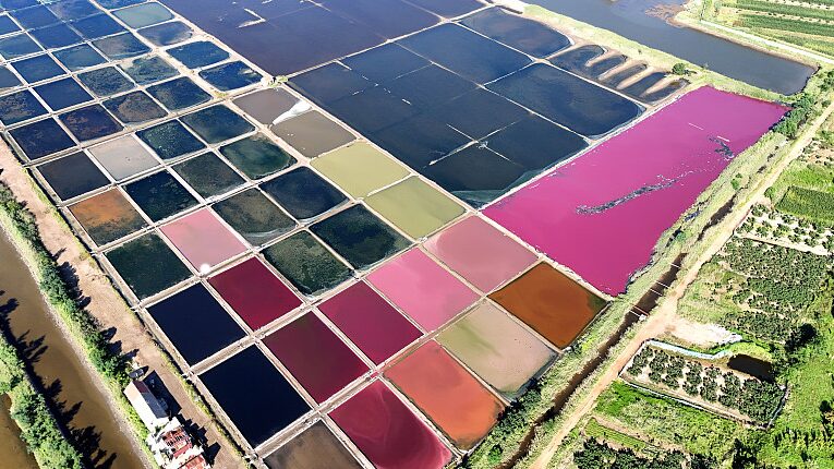 Vibrant_Salt_Fields_of_Weihai__Nature_s_Colorful_Masterpiece_Captured_from_Above - My Global News: Voices of a New Era Vibrant_Salt_Fields_of_Weihai__Nature_s_Colorful_Masterpiece_Captured_from_Above