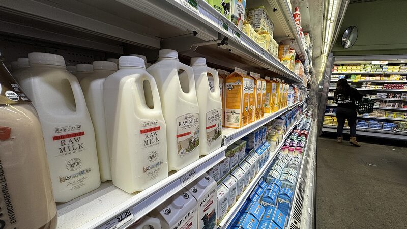 WHO_Urges_Global_Vigilance_After_H5N1_Bird_Flu_Case_in_US_Child - My Global News: Voices of a New Era WHO_Urges_Global_Vigilance_After_H5N1_Bird_Flu_Case_in_US_Child