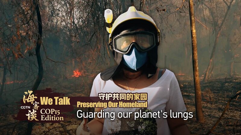 _We_Talk__COP15_Special__Protecting_Earth_s_Lungs_in_Crisis video poster