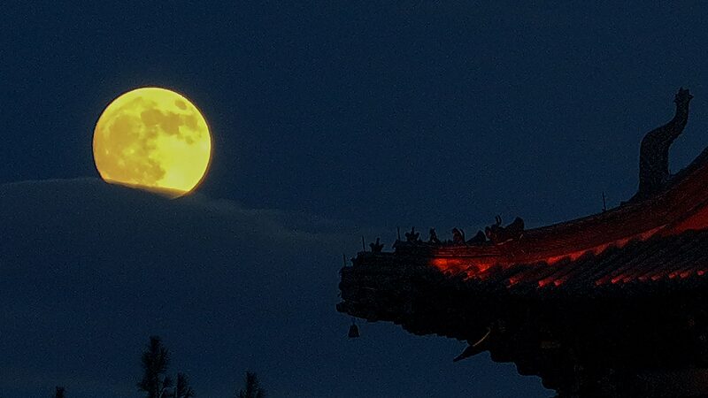 Witness_the_Year_s_Biggest_Full_Moon_on_October_17_poster - My Global News: Voices of a New Era Witness_the_Year_s_Biggest_Full_Moon_on_October_17 video poster