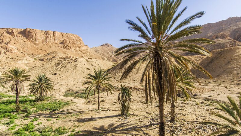 World_Bank_Pledges_Support_to_Tackle_Tunisia_s_Water_Scarcity_and_Climate_Change - My Global News: Voices of a New Era World_Bank_Pledges_Support_to_Tackle_Tunisia_s_Water_Scarcity_and_Climate_Change