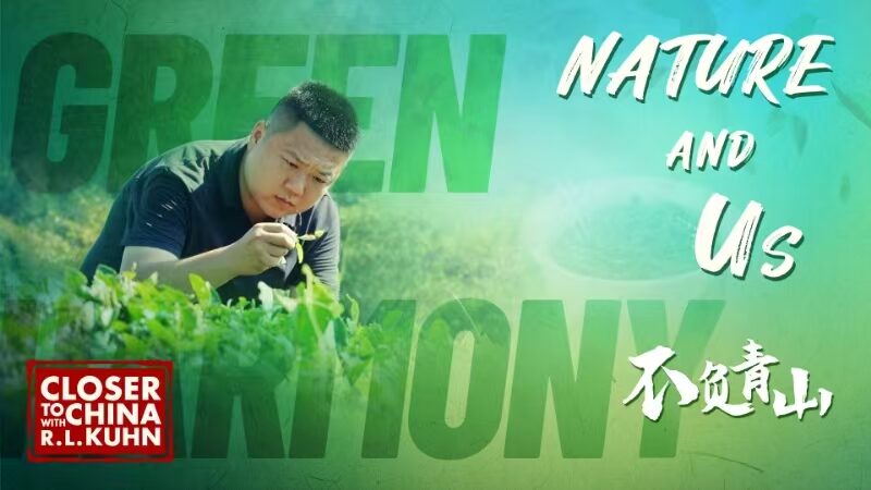 Wuyishan_National_Park__A_Harmonious_Blend_of_Culture_and_Nature video poster