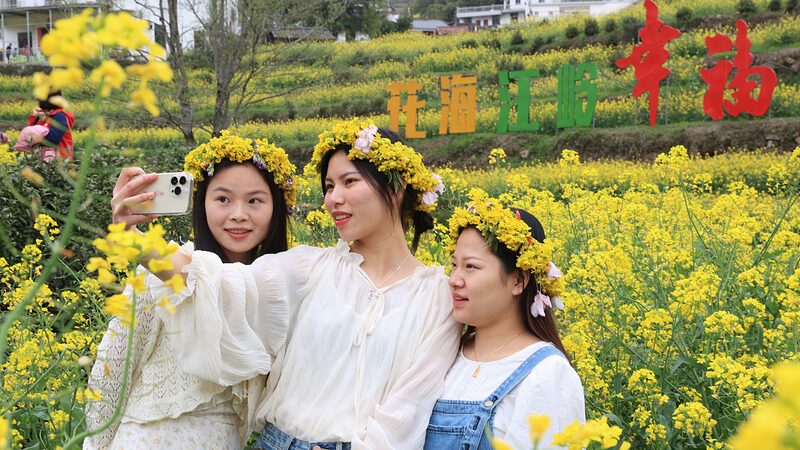 Wuyuan_s_Golden_Fields__A_Springtime_Spectacle