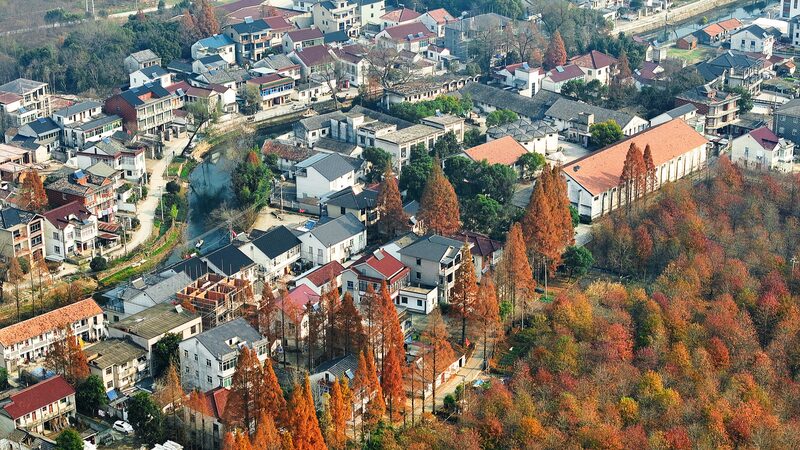 Xi_Jinping_Advocates_for_Enhanced_Rural_Reforms_to_Strengthen_China_s_Agriculture - My Global News: Voices of a New Era Xi_Jinping_Advocates_for_Enhanced_Rural_Reforms_to_Strengthen_China_s_Agriculture