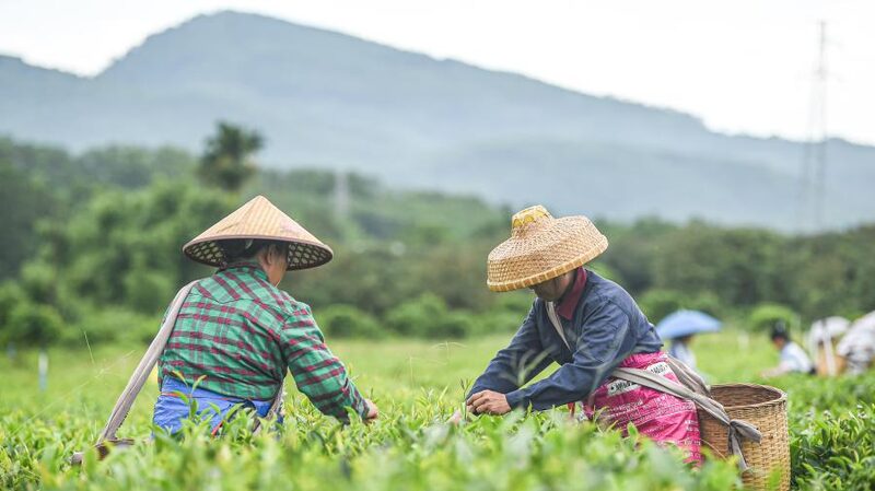 Xi_Jinping_Emphasizes_People_Centered_Development_in_Upcoming_Qiushi_Journal_Release - My Global News: Voices of a New Era Xi_Jinping_Emphasizes_People_Centered_Development_in_Upcoming_Qiushi_Journal_Release