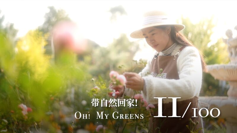 Xin_er_s_Multi_Generational_Garden_Flourishes_in_Guilin_s_December_Bloom_poster - My Global News: Voices of a New Era Xin_er_s_Multi_Generational_Garden_Flourishes_in_Guilin_s_December_Bloom video poster