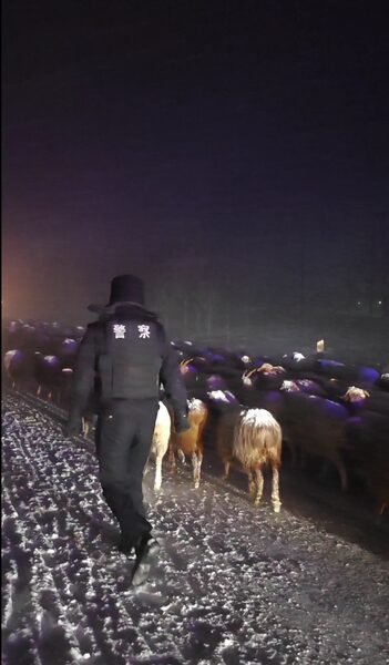 Xinjiang_Police_Rescue_Herdsmen_and_Livestock_Stranded_by_Severe_Snowstorm video poster