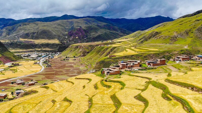 Xizang_Enhances_Highland_Barley_Production_for_Sustainable_Plateau_Agriculture_poster - My Global News: Voices of a New Era Xizang_Enhances_Highland_Barley_Production_for_Sustainable_Plateau_Agriculture video poster