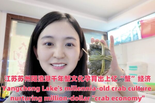 Yangcheng Lake’s Crab Season Spurs Million-Dollar Economy Yangcheng_Lake_s_Crab_Season_Spurs_Million_Dollar_Economy video poster