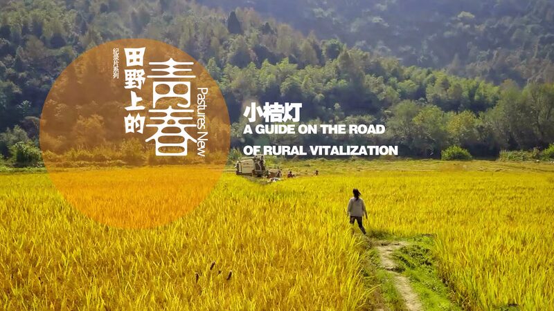 Youth_Power_Drives_Rural_Revival_in_China_s_Hubei_Province_poster - My Global News: Voices of a New Era Youth_Power_Drives_Rural_Revival_in_China_s_Hubei_Province video poster