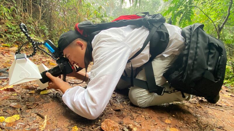Yunnan Photographer Highlights Region’s Unique Biodiversity at COP16 Yunnan_Photographer_Highlights_Region_s_Unique_Biodiversity_at_COP16 video poster