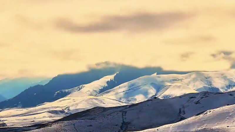 Amazing_Xinjiang__Tekes_Blooms_into_a_Spring_Wonderland_poster - My Global News: Voices of a New Era Amazing_Xinjiang__Tekes_Blooms_into_a_Spring_Wonderland video poster