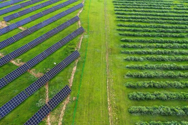 China Leads the Charge: Pioneering Green Development for Global Climate Action China_Leads_the_Charge__Pioneering_Green_Development_for_Global_Climate_Action