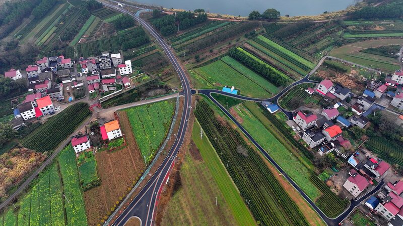 China_Unveils_Ambitious_Plans_for_Agricultural_and_Rural_Revitalization