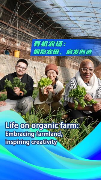 China_s_Organic_Farming_Boom__Supporting_Local_Economy_and_Inspiring_Entrepreneurs_poster - My Global News: Voices of a New Era China_s_Organic_Farming_Boom__Supporting_Local_Economy_and_Inspiring_Entrepreneurs video poster