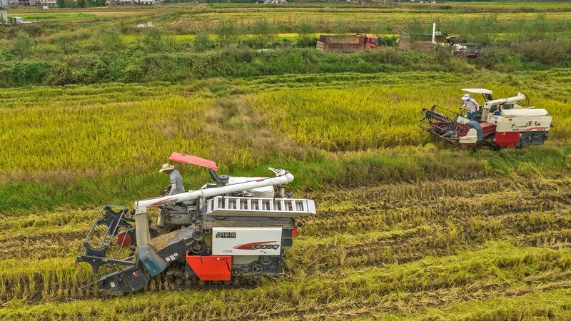 Chinese_Premier_Li_Qiang_Urges_Robust_Measures_for_Farm_Produce_Supply