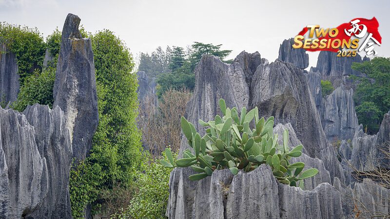 Explore the Enchanting Shenjian Stone Forest in Guangxi Explore_the_Enchanting_Shenjian_Stone_Forest_in_Guangxi video poster