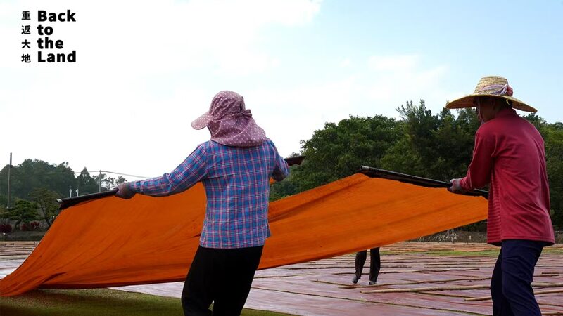 Gambiered_Guangdong_Gauze__Crafting_Art_from_the_Earth - My Global News: Voices of a New Era Gambiered_Guangdong_Gauze__Crafting_Art_from_the_Earth