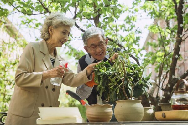 Positive_Developments_in_Sichuan_s_Elderly_Care