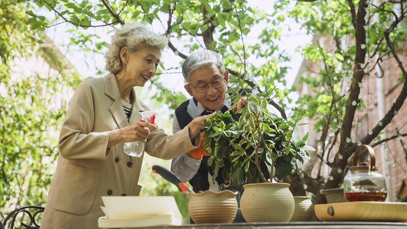 Positive_Developments_in_Sichuan_s_Elderly_Care