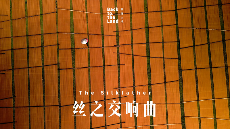 Reviving_Gambiered_Silk__Foshan_s_Timeless_Heritage video poster